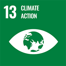 UN Sustainable Development Goal 13 Climate Action