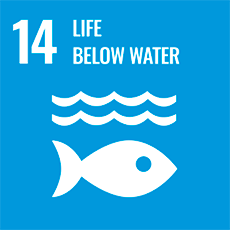 UN Sustainable Development Goal 14 Life Below Water