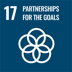 UN Sustainable Development Goal 17 Partnerships for the Goals
