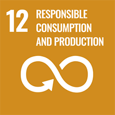 UN Sustainable Development Goal 12 Responsible Consumption and Production