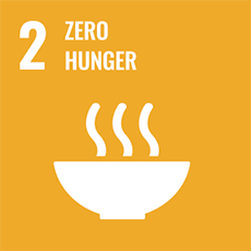 UN Sustainable Development Goal 2 Zero Hunger
