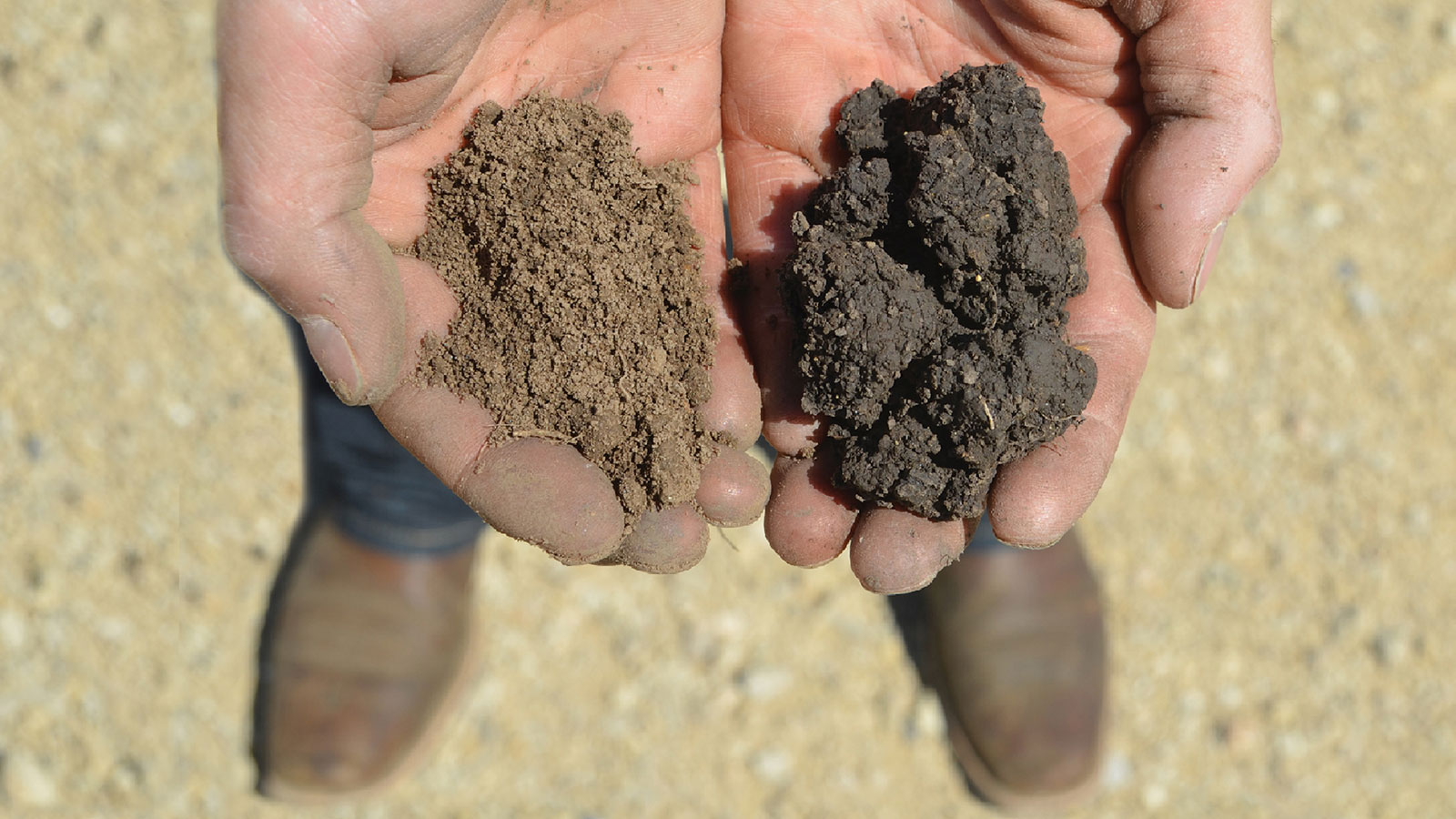 TrueView detects the differences in soil types.