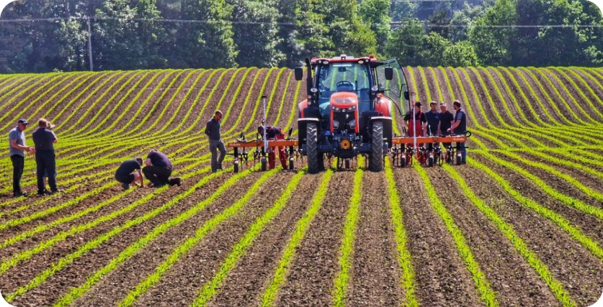 Kubota IC series and GI series: Utmost precision in mechanical weed control